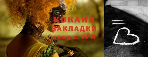 ПСИЛОЦИБИНОВЫЕ ГРИБЫ Вязьма