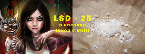 ПСИЛОЦИБИНОВЫЕ ГРИБЫ Вязьма