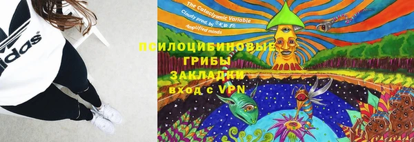 a pvp Вяземский