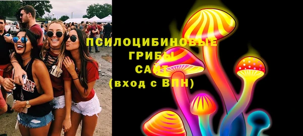 ПСИЛОЦИБИНОВЫЕ ГРИБЫ Вязьма