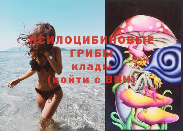 a pvp Вяземский