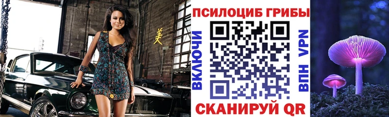 Псилоцибиновые грибы мухоморы  ссылка на мегу как войти  Оренбург  сколько стоит 